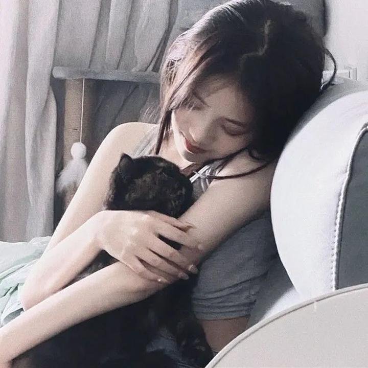 白鹭