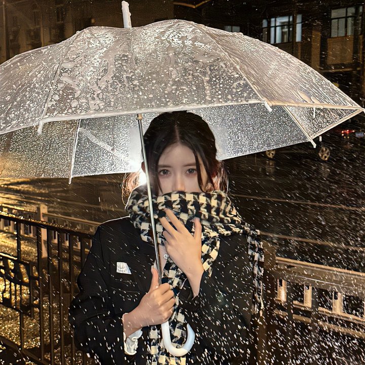女导与强盗